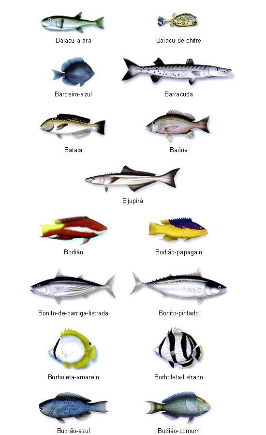 Peixes do Brasil