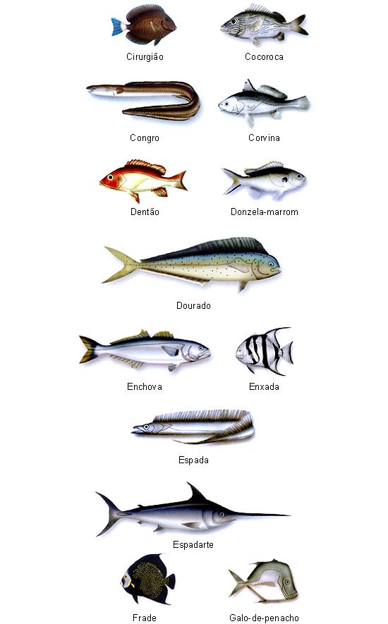 Peixes do Brasil